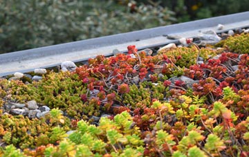 the cost of Cottingham green roof installation