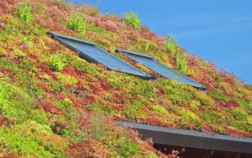 Cottingham living roof systems