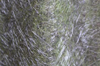 Cottingham fibreglass roof work